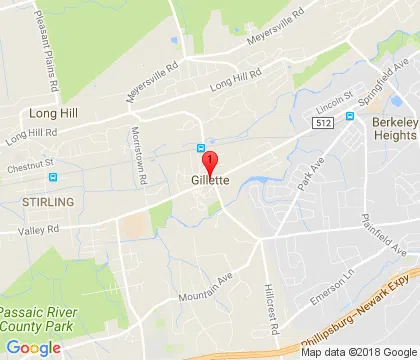logo-image - gillette-nj